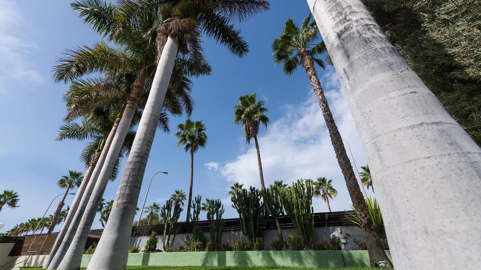 Eo Maspalomas Resort 0*, Maspalomas (Gran Canaria)